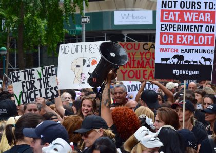 Will your brand change the world?