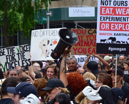 Will your brand change the world?